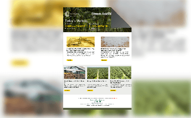 Pembaruan Pasar RBD Palm Olein — 30 Juli 2025